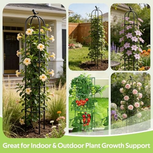 Jesosia Obelisk Trellis for Climbing Plants Outdoor - Heavy Duty Plastic Coated Steel Core Garden Arch Metal Trellis - Rustproof Tomato Cage Vertical Plant Support for Vines Vegetables Flowers Indoor - Thumbnail 6