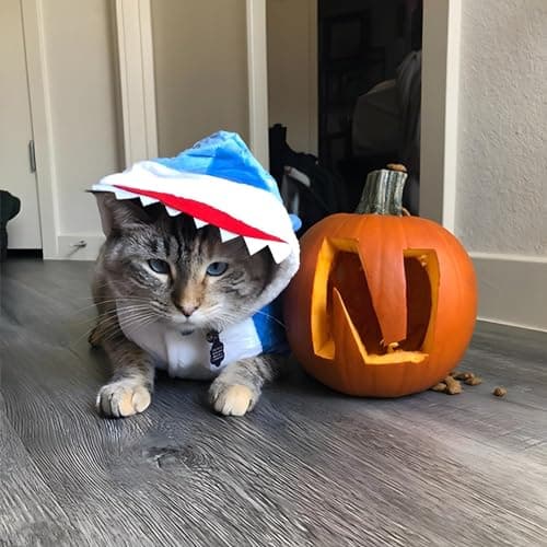 NACOCO Dog Shark Costume Cute Pet Clothes Halloween Holiday Coat Hoodie for Cats and Dogs (Blue, S) - Thumbnail 2