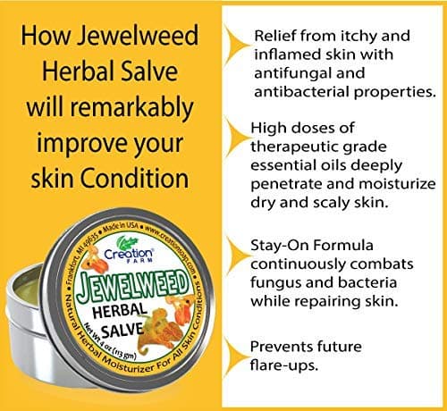 Creation Farm Jewelweed Salve Big 4 oz Tin - Tea Tree Ointment for Skin Care of Poison Ivy, Tattoo Aftercare, Great for Itch! - Thumbnail 4