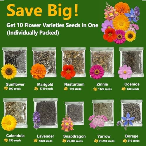 10 Varieties Flower Seeds in Individual Packs, 66,600+ Non-GMO Seeds Indoor Outdoor, Includes Zinnia Lavender Sunflower Marigold Cosmos Nasturtium Snapdragon Borage Yarrow Calendula, Wildflower Seeds - Thumbnail 2