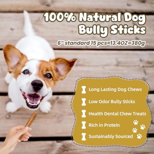 Bully Sticks for Dogs 6 Inch Beef Collagen Dog Chews for Large Dogs, Medium and Small Breeds Healthy Bully Bones Long Lasting Chew Treats for Aggressive Chewers Low Odor Rawhide Free Dental Treats - Thumbnail 3