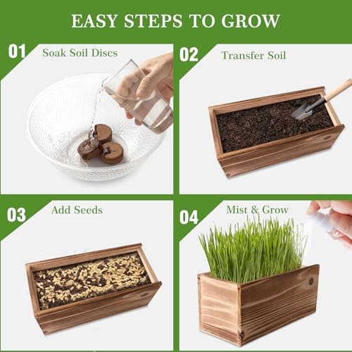 Cat Grass for Indoor Cats – x5 Seed Packets | Cat Grass Seeds with Wooden Planter, Soil & Mini Gardening Tools for Nipping– Pet Wheatgrass Grass, Gifts for Cat Lovers - Thumbnail 3
