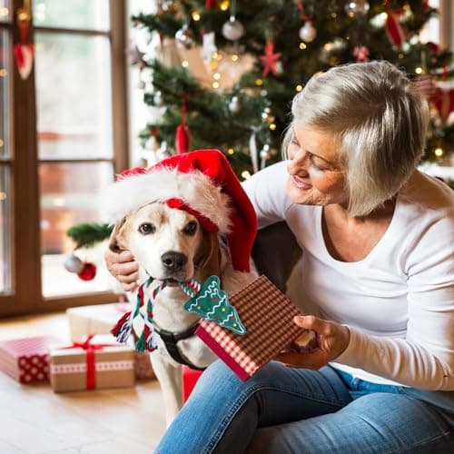 Yteseery 6 Pack Christmas Dog Rope Toys for Small Medium Dog, Chew Training Cotton Toys for Puppy Teeth Cleaning and Interacting Play Games - Thumbnail 3