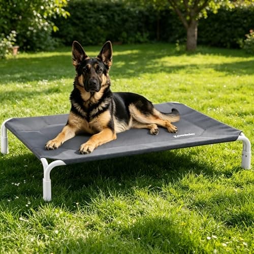ZOMISIA XL Elevated Dog Cot Bed Tool-Free Assembly - Outdoor Raised Dog Cooling Bed Frame for Large Pets, Summer Pet Hammock Off Ground with Non-Slip Feet & Waterproof Teslin Mesh, 48x33 Inch - Image 1