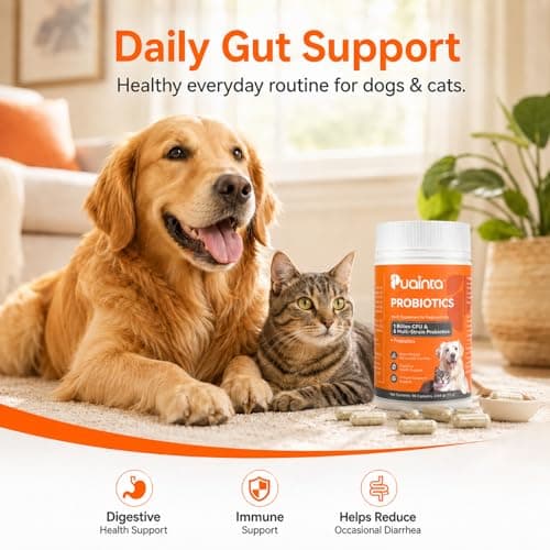 PUAINTA Probiotics for Dogs & Cats – 8-Strain Probiotic with Prebiotics for Digestive & Gut Health, Immune & Stool Support, Helps Dogs Eating Dirt, Grass & Non-Food Items (90 Count) - Thumbnail 5