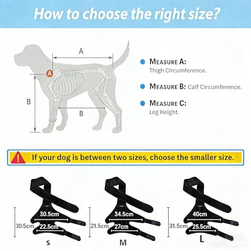 EGBULL Dog Hind Leg Support Brace - Thumbnail 2