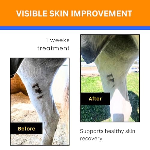 Verdant Equus Jazzy’s Cream for Horses | Fast-Acting Equine Skin Support | Wound & Rain Rot & Irritated Skin Care - Thumbnail 5