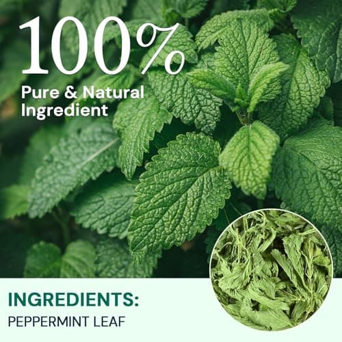 Hiihone Peppermint Tea Bags, Pure Peppermint Leaves, Fresh Minty Herbal Tea, Naturally Caffeine-Free, Non-GMO, Enjoy Hot or Iced, 50 Tea Bags - Thumbnail 2
