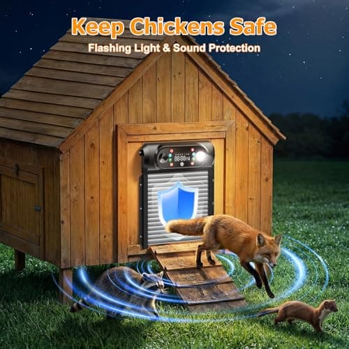 Automatic Chicken Coop Door Solar Powered, Large 9.45" x 10" Opening, Roll-Up Auto Chicken Door Opener with Light Sensor, Timer & Remote Control, Anti-Pinch Aluminum, Weatherproof for Outdoor - Thumbnail 3