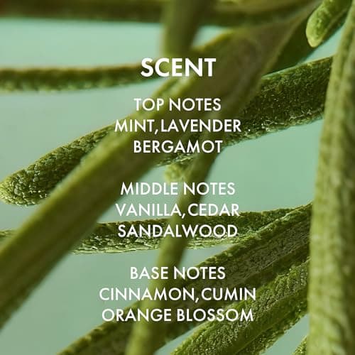 ALFHEIM Rosemary+ Purifying Shampoo – Clarifying Cleanse for Oily & Fine Hair with Rosemary, Peppermint & Jojoba Oils – Deep Scalp Refresh, Lightweight Volume – Vegan, Sulfate Free – 18 oz / 535 ml - Thumbnail 6