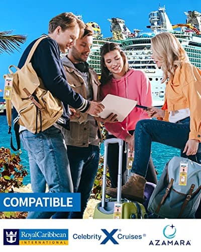 NTONPOWER Cruise Luggage Tags Holders With Steel Loops - Clear Waterproof Document Tags for Royal Caribbean & Celebrity Cruise Ships - Thumbnail 2