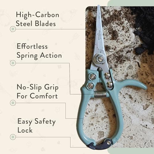 Modern Sprout Pruning Shears - Herb Snipping Scissors- Lightweight Gardening Tools W/Easy Lock - Flower Cutter Garden Shears - Carbon Steel Blade + Reusable Holster (Sage, 1-Pack) - Thumbnail 3