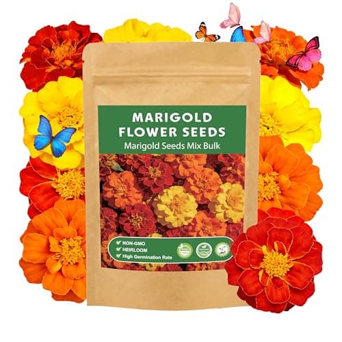 LUOJIBIE Marigold Seeds, 12,000+ Marigold Seeds for Planting Outdoor & Indoor, Flower Seeds Bulk for Gardening and Home, Non-GMO Heirloom, Easy to Grow - Image 1