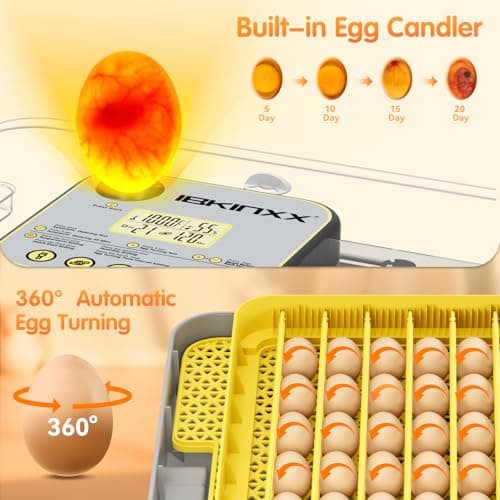 IBKINXX Incubator for Hatching Eggs-48 Egg Capacity, 2026 Newly Upraded Auto Egg Turner & Auto Precision Humidity Control System, 360° Clear Viewing for Chicken, Duck and Quail Eggs (Yellow) - Thumbnail 2