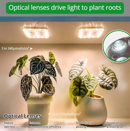 DOMMIA Full Spectrum LED Grow Light for Indoor Plants, 2 Panels 10W with 6/12/16h Timer Dimmable Plant Lights for Flower Veg Plant Growth USB, Warm White, 1-Pack - Thumbnail 5