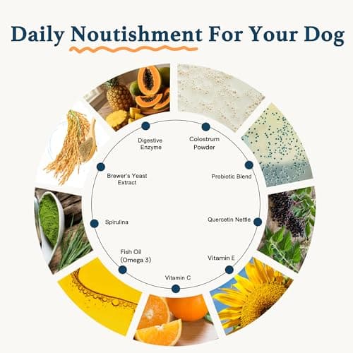 Dog Allergy Chews, Dog Probiotics for Itchy Skin Dog Allergy Relief Bites Skin and Coat Supplement Immune Support with Omega 3 Fish Oil Colostrum for Dog Seasonal Allergies Itchy Skin and Ear 120ct - Thumbnail 3