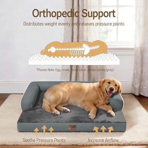 Comfort Expression Memory Foam Large Dog Bed - Waterproof Orthopedic Dog Beds with Washable Removable Cover Pet Sofa Couch, 36 x 27 - Thumbnail 2