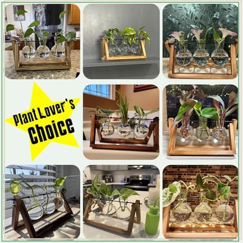 XXXFLOWER Plant Terrarium with Wooden Stand, Air Planter Bulb Glass Vase Metal Swivel Holder Retro Tabletop for Hydroponics Home Garden Office Decoration - 3 Bulb Vase - Thumbnail 6