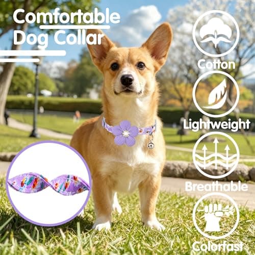 Small Dog Collar with Flower, Puppy Collar for Girl Dog Collars for Small Dogs Cute Dog Collar with Bell, Adjustable Length - Thumbnail 4