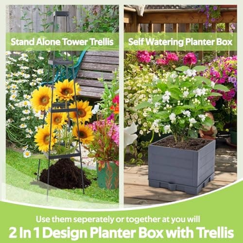 Self Watering Tomato Planter for Growing Tomatoes - 55" Raised Garden Bed Planter Box with Trellis for Climbing Plants - Tomato Support Cage for Vine Vegetables Flowers Greenhouse Indoor Outdoor - Thumbnail 4