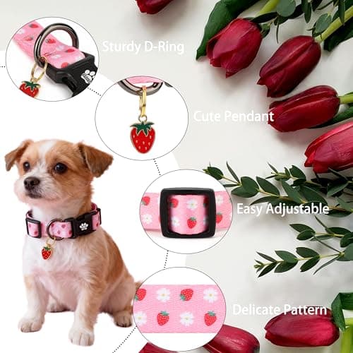 TENICER Pink Strawberry Dog Collar, Cute Pet Collars for Puppy Small Medium Large Boy Girl Dogs-M - Thumbnail 2
