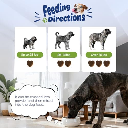 Xiderdl 11-in-1 Muscle & Weight Support Chews for Dogs – High Protein Supplement with Amino Acids, BCAAs, Antioxidants & Vitamins – Muscle Support Soft Chews for Puppies & Adult Dogs, 120 Count - Thumbnail 6