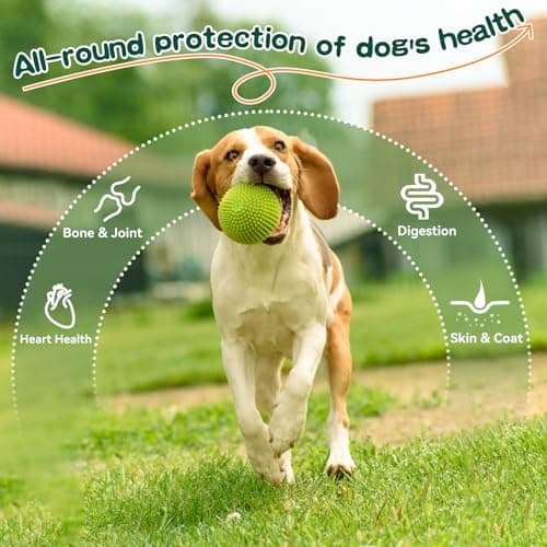 Klespiron Allergy Immune Bites - Seasonal Allergies & Immune Support Soft Chews for Gut Health - Natural Anti-Immune Supplement for Dogs - No Corn, GMO, or Soy - Thumbnail 4