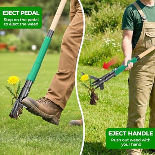 Allsetool Weed Puller Tool with 2 Weed Eject Feature, 43.7in Stand Up Dandelion Remover Tool, Real Bamboo Handle and Metal 4 Claw & Foot Pedal, Heavy Duty Garden Weeder - Thumbnail 2