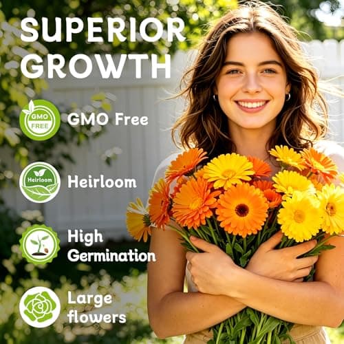 LUOJIBIE Calendula Seeds, Calendula Seeds for Planting Outdoor & Indoor, 8,000+ Pacific Beauty Mix Annual Flower Seeds Bulk, Non-GMO Flower Seeds, Large Blooms, Easy to Grow - Thumbnail 3
