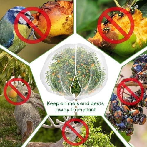 7.8 x 7.8 ft Large Fruit Tree Netting Cover with Zipper and Drawstring,Garden Insect Netting Plant Cover Transparent Bird Plant Barrier Flower Fruit Mesh Screen for Preventing Deer Squirrel Bugs - Thumbnail 4