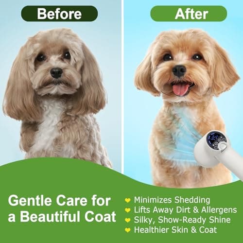 3-in-1 Dog Hair Dryer Brush - Adjustable Temp (35°C-60°C) & 4 Speeds, One-Touch Hair Collection for Safe Grooming of Small & Medium Dogs Cats - Thumbnail 2