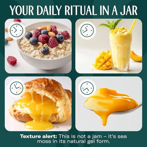 TrueSeaMoss Sea Moss Gel – Made in USA – Wildcrafted Seamoss, Fruits & Jarred Vegetables – Mango/Pineapple, Pack of 1 (Labels may Vary) - Thumbnail 4