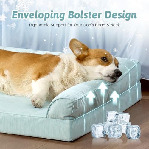 Cooling Dog Bed, Orthopedic Foam Dog Bed with Sides, Removable Cover & Waterproof Lining and Nonskid Bottom, Comfortable Pet Beds for Medium Dogs, Green (36" L x 27" W x 6.5" Th) - Thumbnail 3