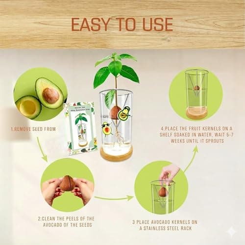 KONIDUN Avocado Seed Starter Vase - Avocado Tree Growing Kit with Base and Sticker, Glass Avocado Pit Sprouting Plant Pot Gift for Women, Gardening Lovers Home Office Table Decoration, Indoor No Seed - Thumbnail 6