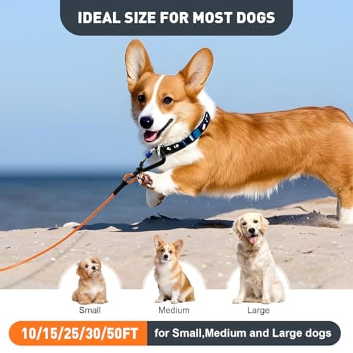 Libbipaw Dog Tie Out Cable 30FT Heavy Duty Chew Proof, Tangle-Free Runner with 360° Swivels & Locking Clip for Large Dogs Up to 250LBS - Rust Proof Leash for Yard, Camping, Outside (Orange 30FT) - Thumbnail 6