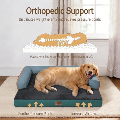 Comfort Expression Memory Foam Dog Bed - Washable Pet Bed for Big Dog Waterproof Orthopedic Dog Beds with Removable Cover ，Non-Slip Pet Couch Sofa- 36 x 27 - Thumbnail 2