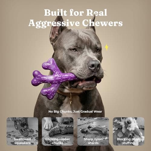 Frienhund 2 Pack Indestructible Dog Chew Toys for Aggressive Chewers - XL Textured Cactus with Grooves for Peanut Butter & Yogurt, Beef Nylon Bones for Large Dogs 20-90 lbs, Easy Chew & Long Lasting - Thumbnail 2