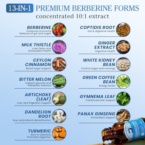 Berberine Supplement with Ceylon Cinnamon - Berberine Liquid Drops with Milk Thistle, Ceylon Cinnamon, Turmeric,Bitter Melon, Berberine Phytosome for Digestion System, Immune Health Support-Vegetarian - Thumbnail 4