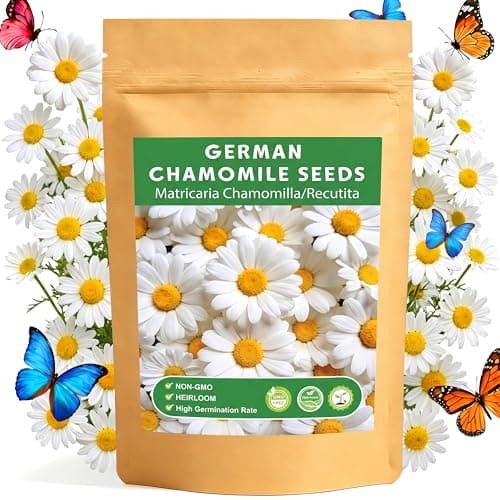 LUOJIBIE German Chamomile Seeds, 30,000+ Chamomile Flower Seeds Bulk for Planting Outdoor Indoor Garden, Heirloom & Non-GMO Matricaria Chamomilla/Recutita Herb Seeds, Easy to Grow