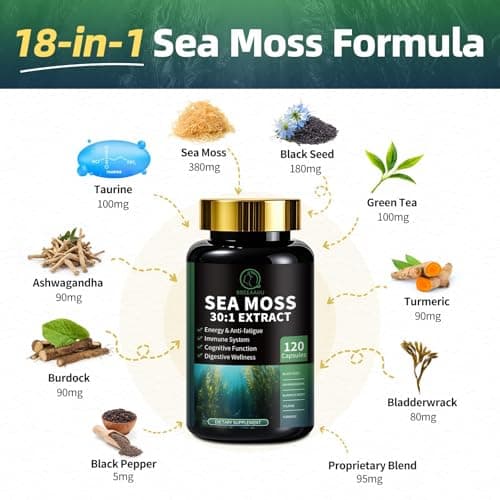 Shilajit for Men, Sea Moss and Shilajit Bundle, All in 1 Supplements with Coenzyme Q10, Black Seed, Ashwagandha, Taurine, Burdock for Energy, Endurance, Antioxidant & Immune Support, 240 Capsules - Thumbnail 5