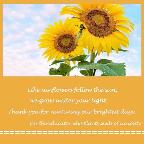 Airpark 3D Paper Pop Up Cards, Sunflower & Butterfly Forever Paper Flower Bouquet Pop Up Birthday Cards, Mother's Day, Thank you card, Get Well Gifts for Women Mom Teacher, Blank Notecard & Envelope - Thumbnail 2