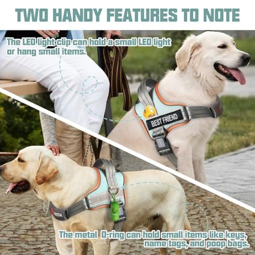 AUROTH Dog Harness No Pull Soft Padded Service Dog Vest, No Choke, Easy On Pet Vest with Handle, Adjustable Reflective Dog Harness for Small, Medium and Large Dogs, Easy Walking and Training - Thumbnail 3