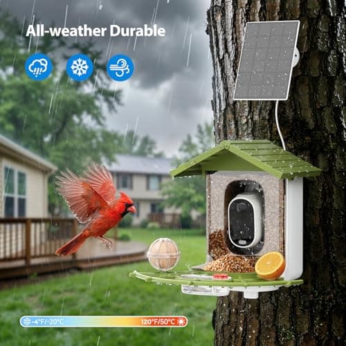 Onforu Smart Bird Feeder with Camera, 2.5K QHD Camera Birds Feeder Outdoor Solar Powered, AI Identification, Instant Notifications, 2.4GHz WiFi, 2-Way Audio & Night Vision, Gift for Bird Lovers - Thumbnail 6