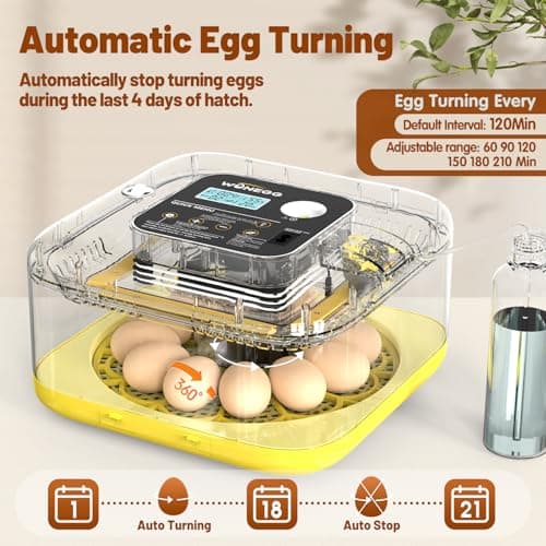 Incubator for Hatching Eggs, 12 Eggs Incubator with Automatic Egg Turning, Temperature & Humidity Control, LED Egg Candler, Incubation Days Display, for Chicken, Duck, Quail, Parrot Bird Eggs - Thumbnail 2