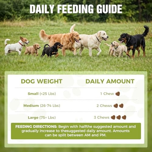 Probiotics for Dogs – 2 Billion CFU Gut & Digestive Health Chews, Relieves Diarrhea, Gas & Loose Stool, 6 Strains Including Bacillus Subtilis with Prebiotics, Soft Chews for Immune & Allergy Support - Thumbnail 5