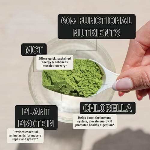 ON3 Athletic Protein Greens Supplement with chlorella, eleuthero and MCT Powder (5 Servings, Herbal) - Thumbnail 3