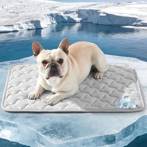 GASUR Cooling Mat for Dogs, Q-Max>0.5 Instant Temp Drop Dog Cooling Mats for Medium Dogs&Cats, Cooling Pad for Dog - Indoor Outdoor Travel Use, Snag Resistant，Machine Washable&Anti-Slip, 28"X22" Grey - Image 1