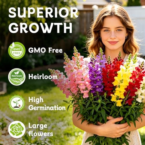 LUOJIBIE Snapdragon Seeds, 10,0000+ Tetra Mix Snapdragon Seeds for Planting (Antirrhinum Majus) Fairy Bouquet Blend, Non-GMO Heirloom Annual Flower Garden Seeds Bulk for Outdoor & Indoor - Thumbnail 3