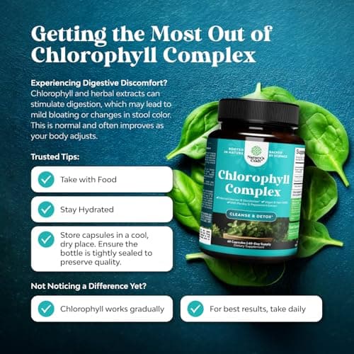 Chlorophyll Capsules for Cleanse and Detox Support - Internal Deodorant Pills for Body Odor with Mint & Parsley Extract Healthy Skin Immunity & Digestive Support - Vegan Non-GMO & Gluten Free (60ct) - Thumbnail 2