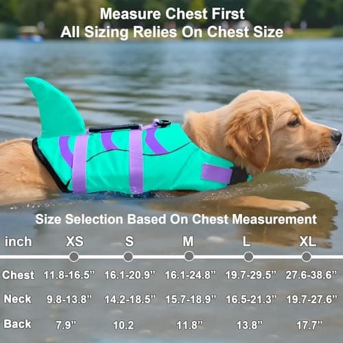 Fragralley Shark Dog Life Jacket, Easy to Put on Dog Life Vest for Swimming and Boating, Vibrant & Adjustable Dog Life Preservers for Small Medium Large Dogs, Suit to Swim, Fish, Beach, Surfing - Thumbnail 3
